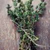 Thyme origin