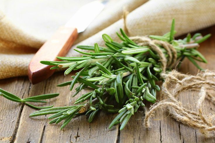 Ultimate guide to Rosemary | Uses & benefits