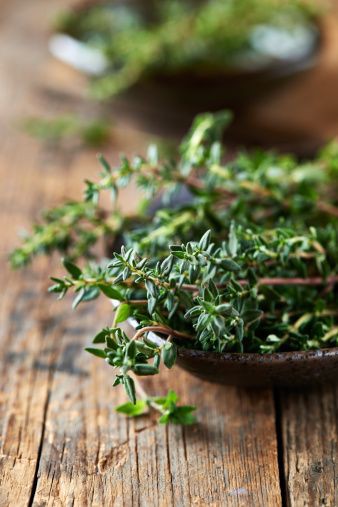 thyme recipes