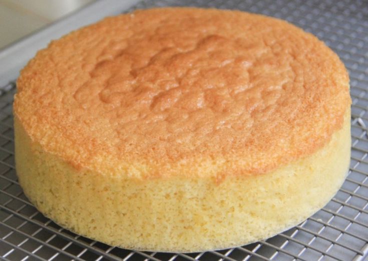 genoise sponge