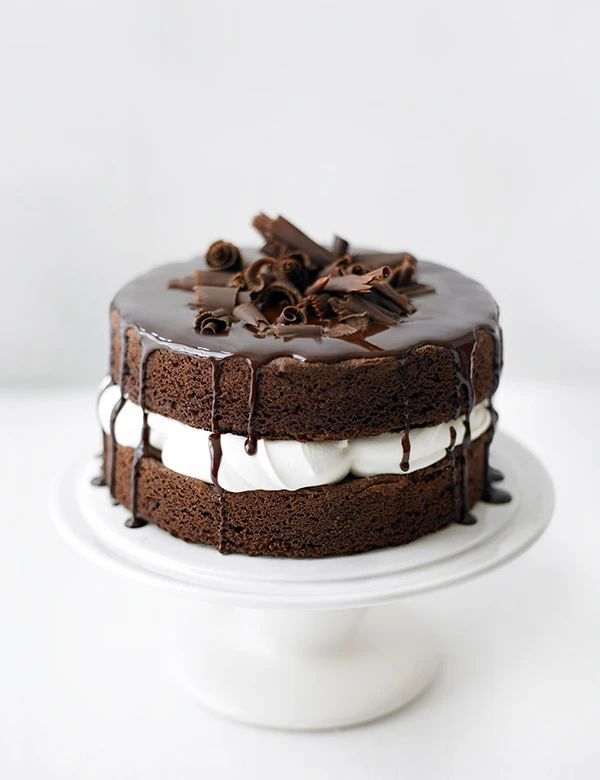 Chocolate sponge cake